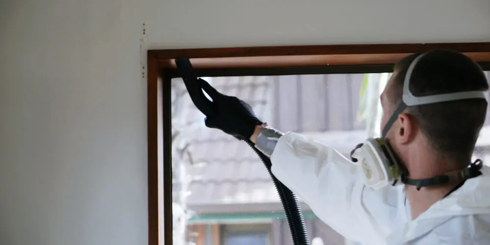 Mould treatment process in Kerry