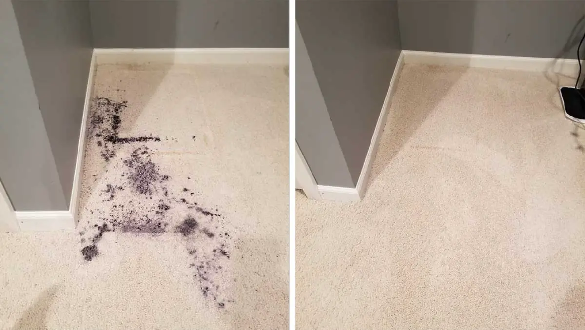 Carpet cleaning comparison