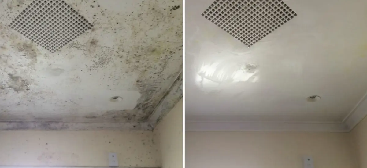 Ceiling mould before and after
