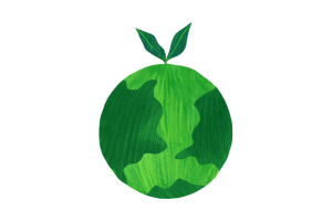 Safe interior car cleaning in Kerry