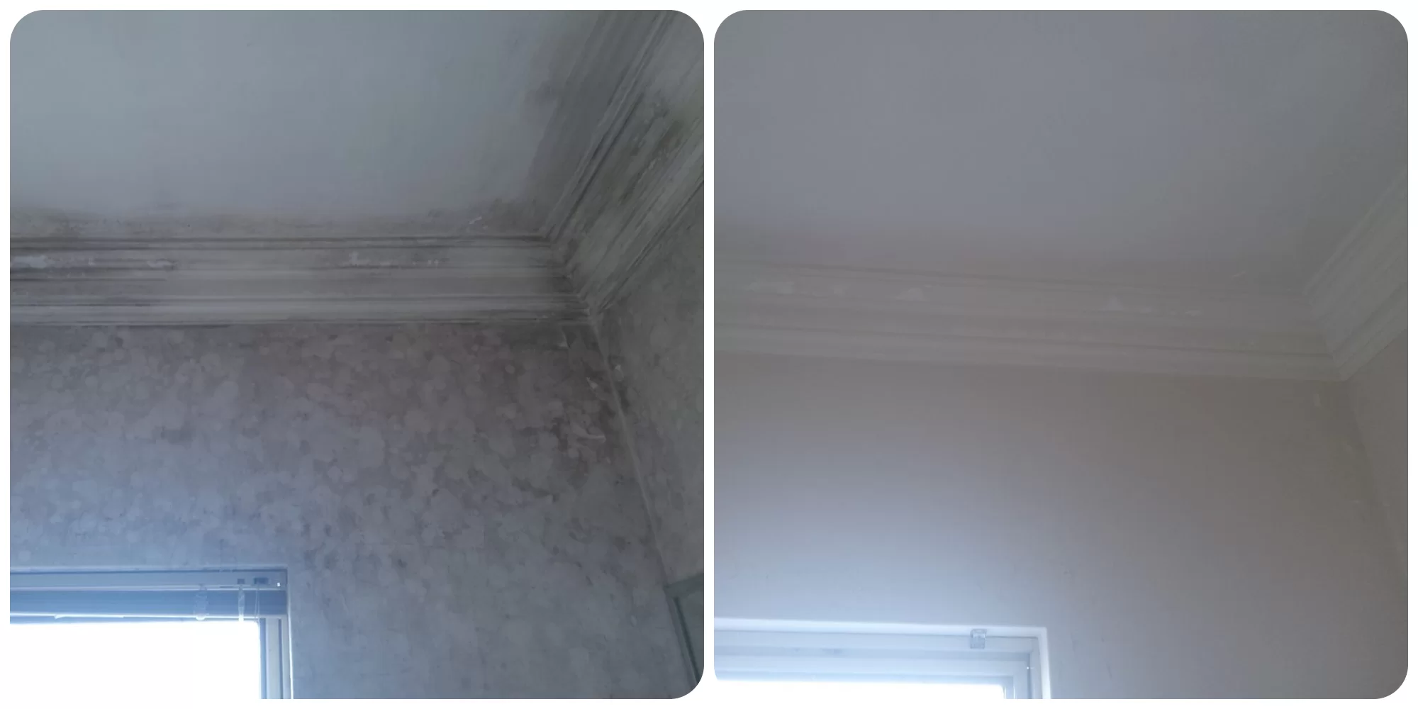 Before mould removal on a Tralee bedroom wall