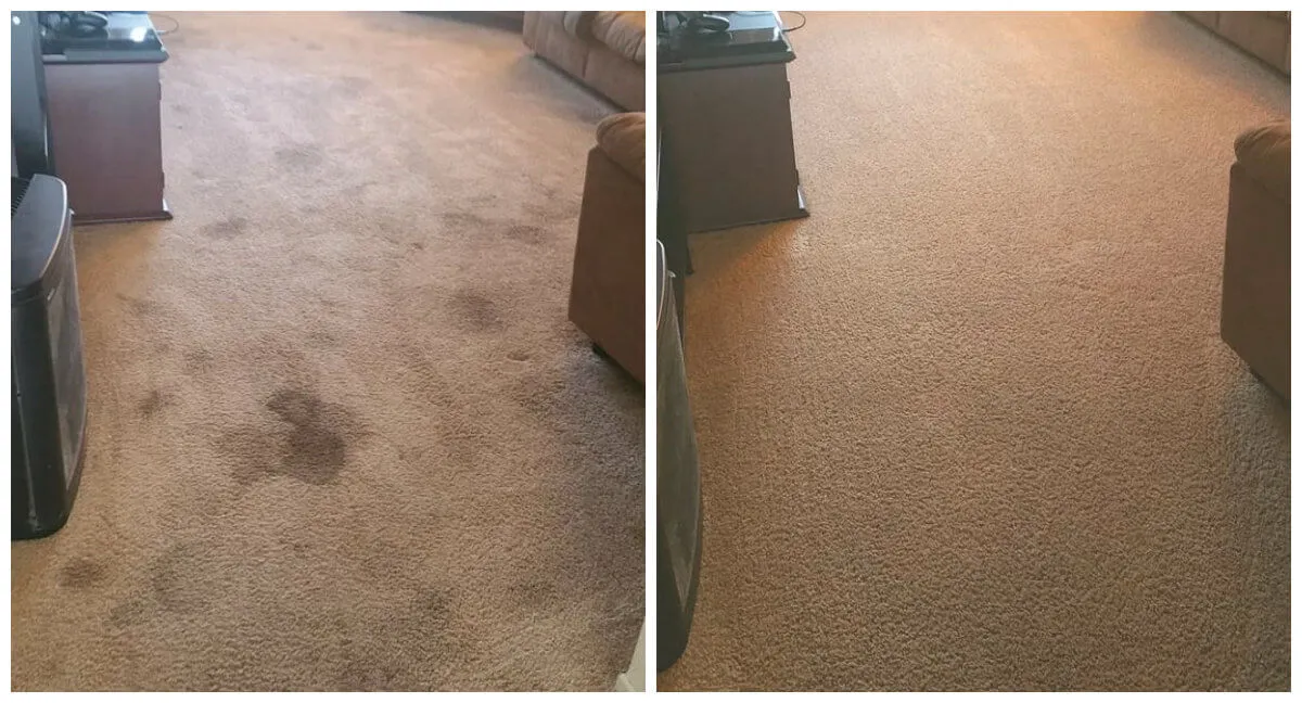 Before and after carpet cleaning in an office