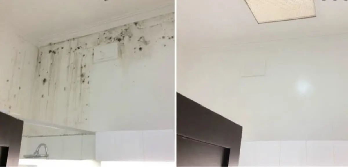 Rental refresh mould before and after